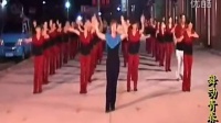 广场舞教学视频 迪斯科广场舞最炫民族风舞动青春小版_