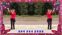 滨海新区汉沽和悦广场舞（青春旋律）编舞：応子