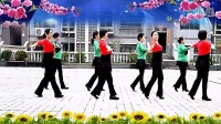 最新广场舞蹈视频大全 广场舞双人舞