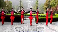 峡谷视频广场舞《你是我的天籁》含背面演示_标清