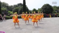 广场舞舞动中国14人变队形