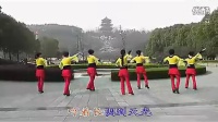 动动广场舞 健身舞 天马（清晰）简单易学 高清