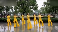 2014最新广场舞视频大全 彩云广场舞队《孔雀公主》
