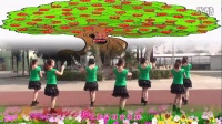 小苹果  2015年最新广场舞教学视频