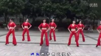 最新广场舞大全 2014最新广场舞教学视频 周思萍广场舞王麟《伤不起》