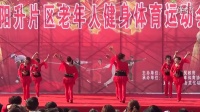 太阳升镇兰花姐妹队   广场舞表演《爱着你宠着你》变队形