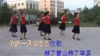 20步卓玛.最新广场舞教学视频