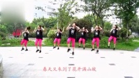 小苹果广场舞教学视频一