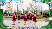 萍儿广场舞 团队版【中国好姑娘】编舞：可爱玫瑰花 视频制作：龙虎影音