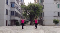 乐昌省机舞蹈队；学跳广场舞明月思