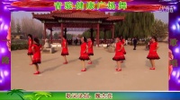 沂南青驼镇石驼健康广场舞【一路歌唱】苏村杰亮广场舞视频