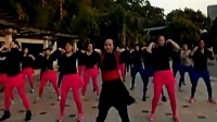 2014最新广场舞蹈视频大全 广场舞_标清