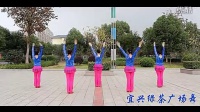 宜兴绿茶广场舞 自由行走的花 编舞応子 正面动作演示 演唱萨顶顶