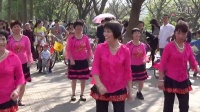 小苹果 广场舞 番禺区大夫山 连乐河村舞蹈队