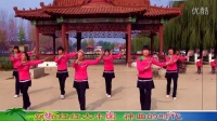 沂南青驼镇石驼健康广场舞【跳到北京】苏村南良水杰亮广场舞视频