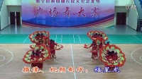 梁村镇张庄舞蹈队队《好一个中华大舞台》肃宁县第四届农民文化艺术节广场舞大赛，十佳舞蹈队。