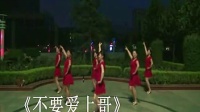 2013最新最流行广场舞 实用精编版 不要爱上哥 标清