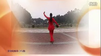 张春丽广场舞 -《我爱唱情歌》 廖弟老师合作版 （火红版）