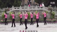 广场舞蹈视频大全 春天的滋味 动动广场舞
