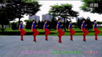 秋歌广场舞 男人就是累 广场舞蹈视频大全