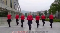 小小新娘花（正反面） 踏歌最新广场舞蹈视频大全