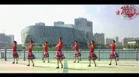 青儿广场舞 雪莲花（含背面演示）广场舞蹈视频大全