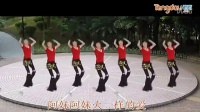 美久广场舞 阿哥阿妹跳起来 舞蹈教学视频
