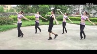 《心花开在草原上》（正面）廖弟广场舞教学 广场舞蹈视频大全