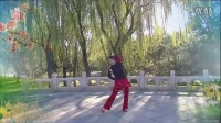 北京龙潭广场舞—歌声里的回忆
