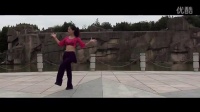 茉莉广场舞蹈视频大全《新龙船调》正反面教学演示