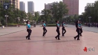 中老年广场舞蹈视频大全《大家跳》