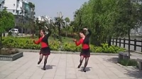 龙泉家妮广场舞（泉水叮咚响）背面教程