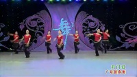 开门红-杨艺紫蝶2012最新全民广场舞（清晰）（清晰）