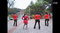 单跳与对跳动感29步、含正反面分解动作、可爱玫瑰花广场舞
