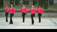 广场舞山里红了-广场舞教学视频