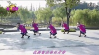 紫紫雨广场舞 雪山姑娘 含背面分解_高清