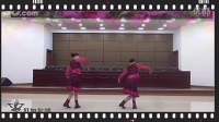 紫蝶踏歌广场舞245 -《贝加尔湖畔》背面示范