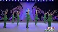 杨艺田益珍广场舞《春天的芭蕾》背身_标清