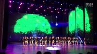 周丰昀参演的舞蹈《一起成长》，牡丹江2015年少儿春晚节目之一，桃木子舞蹈学校付永霞老师编导