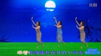 新丽莉广场舞  月亮女神（3人版）
