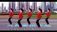 醉月亮 惠汝广场舞教学 广场舞蹈视频大全_高清