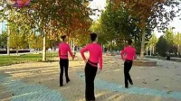 广场舞 奢香夫人 - 广场舞视频