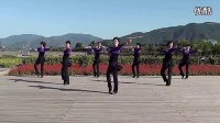 美丽的七仙女 广场舞蹈视频大全 广场舞教学_标清