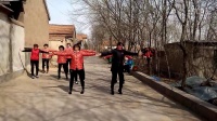 小青蛙广场舞8人变队形舞动中国彩排
