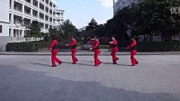 广场舞 - 桃花运（红） - 恰恰 - 广场舞视频