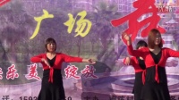 南陈村广场舞之老婆就是武则天《第一季》