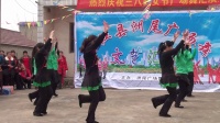 洲尾村庆祝三八妇女节广场舞汇演