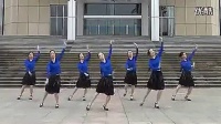 紫蝶踏歌广场舞2013年最新最流行 广场舞  这条街  广场舞  教程_标清