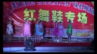 美丽安达百合之夏文化广场系列活动-拉丁舞小时代