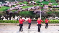 柳州仙姐广场舞《藏家乐》